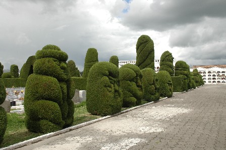 Cementario, TulcÃ¡n