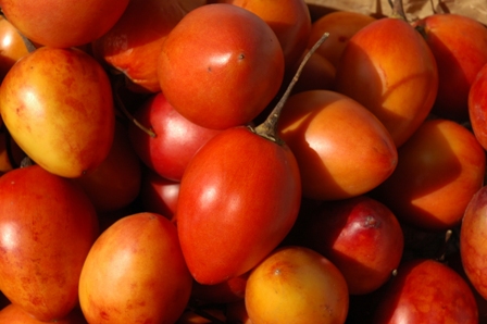 Tomate de Arbol (boomtomaat)