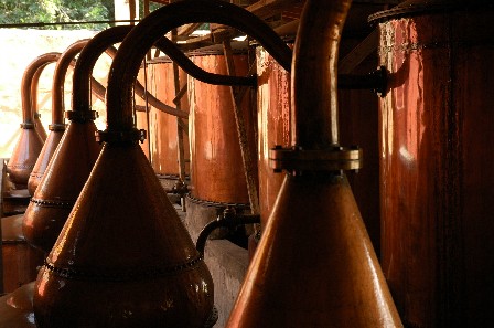 Distillatieketels voor Pisco, Ica