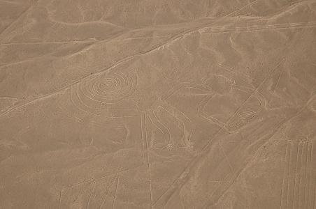 Aap, Nazca