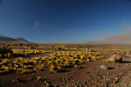 Altiplano